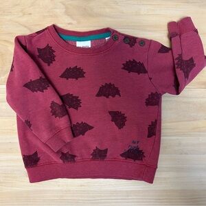 Zara Baby Boy “My Punk Friend” Hedgehog Sweatshirt
